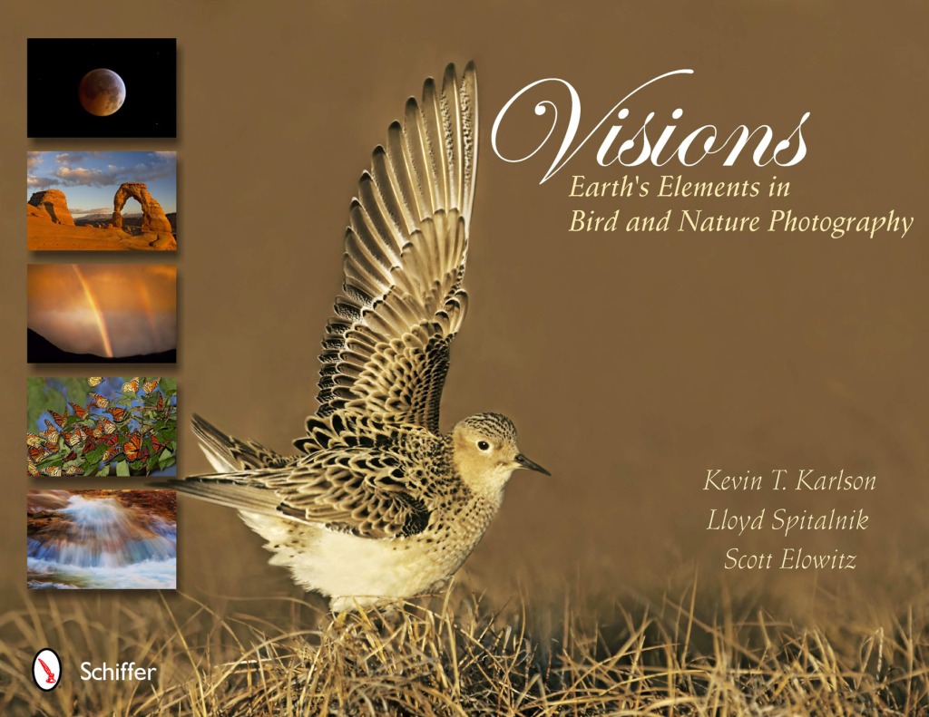 Visions cover